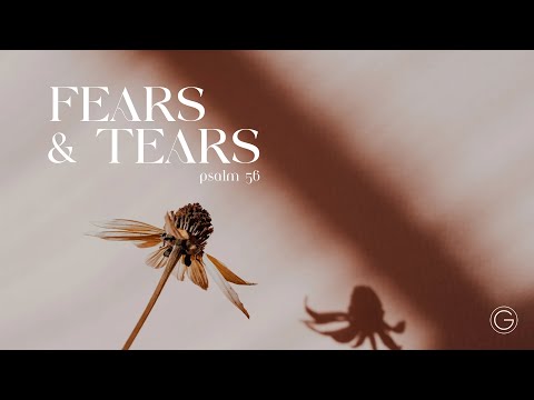 Fears & Tears