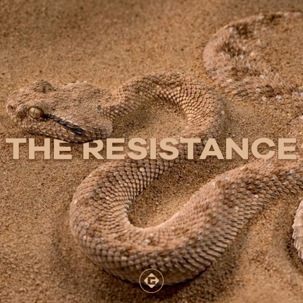 Don’t Fall For It | Part 2: The Resistance