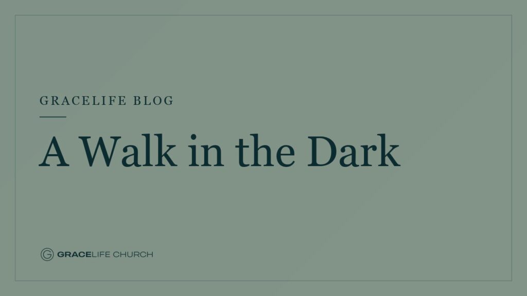 A Walk in the Dark