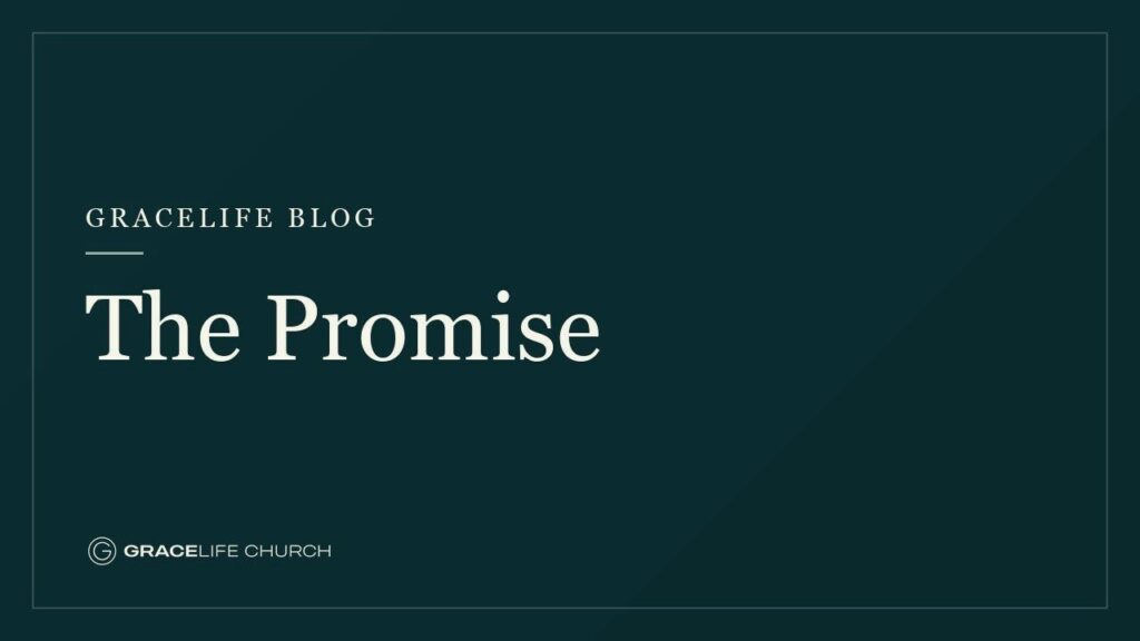 The Promise
