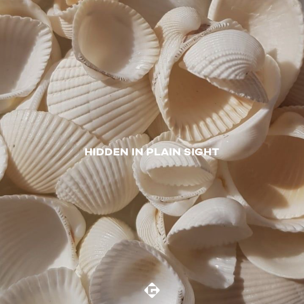 Hidden in Plain Sight