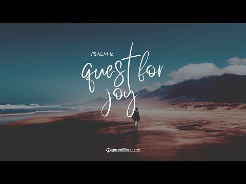 Quest for Joy
