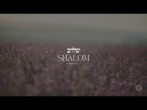 Shalom