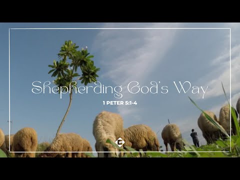 Shepherding God’s Way