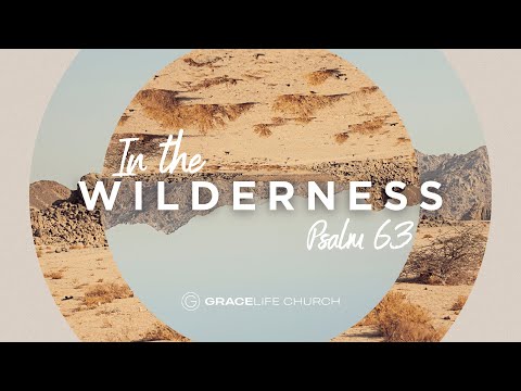 In the Wilderness